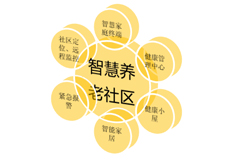 九部門指導(dǎo)加快實施老年人居家適老化改造工程,安防產(chǎn)品迎來新機遇